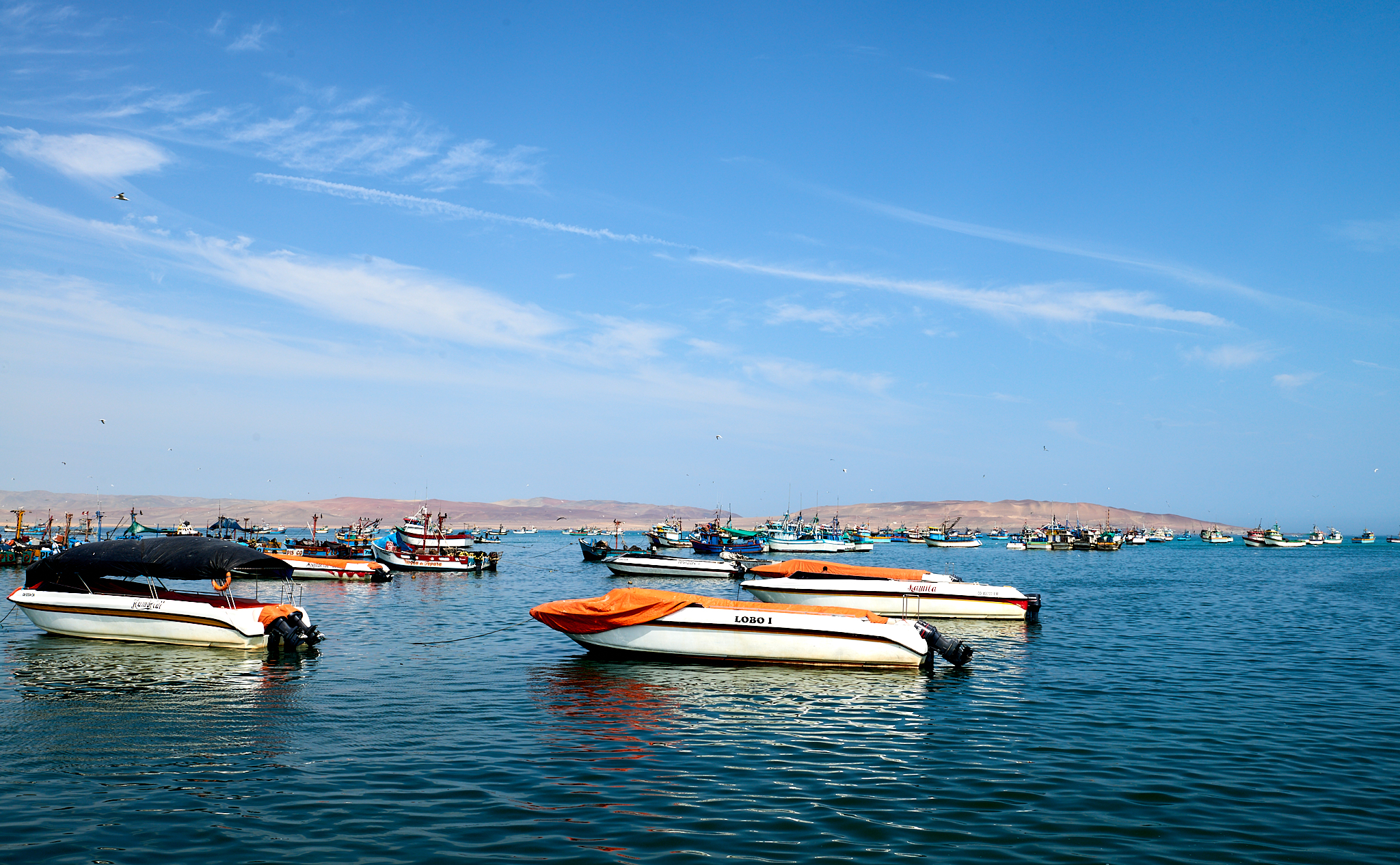 20200304 087 [페루] 바예스타섬